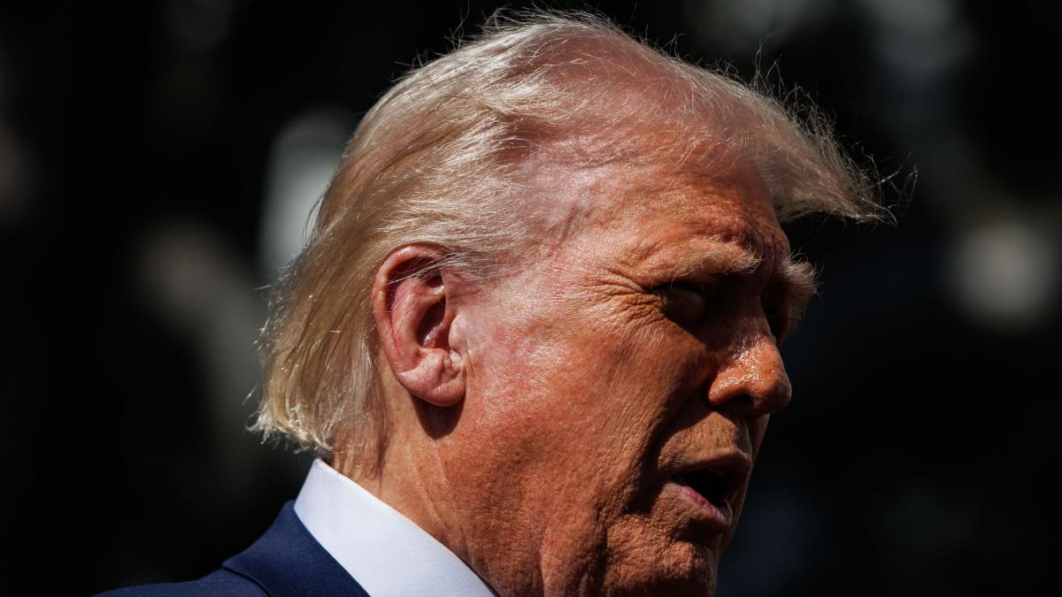 trump vrea sa i dea lui putin mineralele ucrainene obtinute in acordul cu zelenski ca sa l convinga sa opreasca razboiul