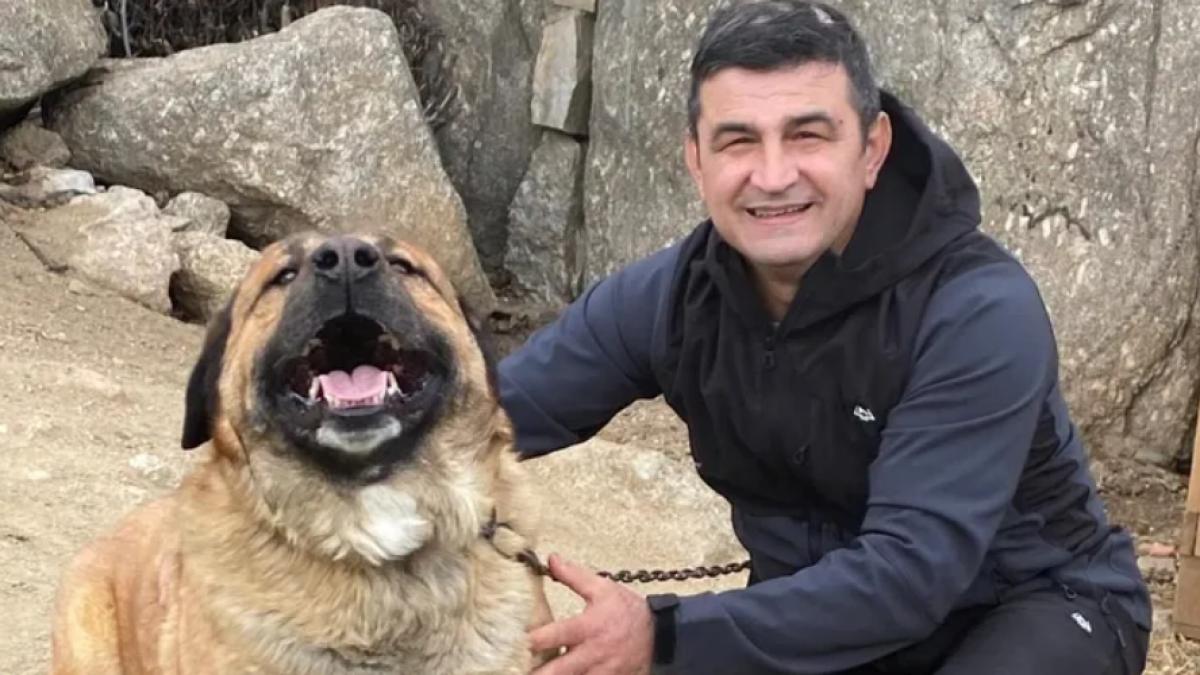 un roman a murit langa madrid incercand sa salveze un barbat si 20 de cai mircea era om de afaceri si locuia in spania