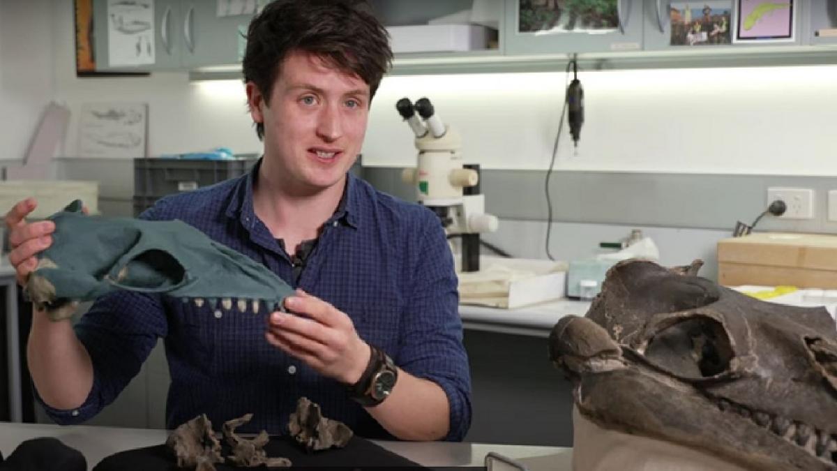 un barbat a gasit ramasitele unei balene preistorice in australia creatura marina a trait in urma cu 26 de milioane de ani