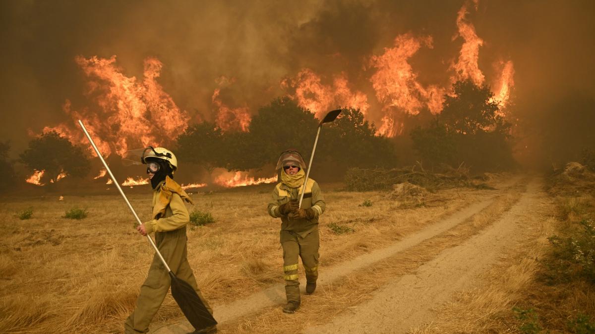 trei oameni au murit in incendiile din spania unul e roman flacarile sunt greu de tinut sub control comisia europeana trimite ajutor