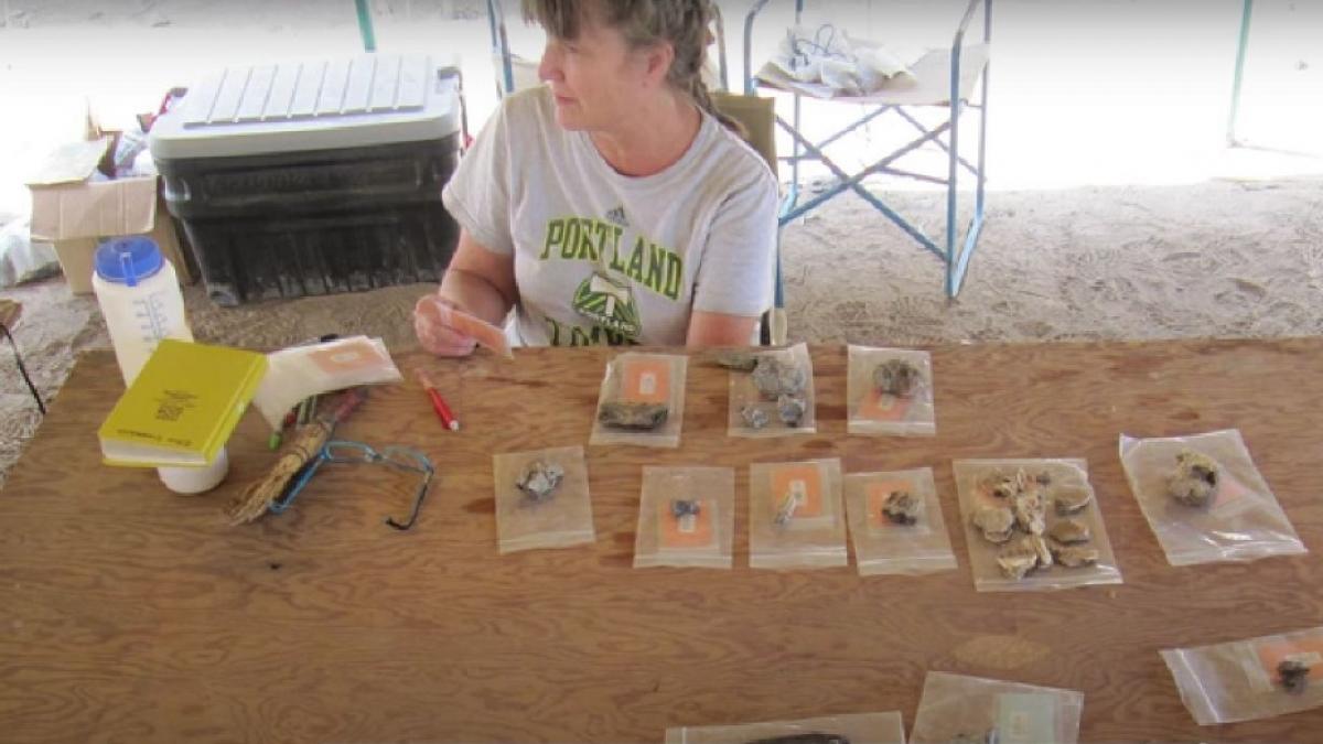 descoperirea care rescrie povestea evolutiei umane o specie umana necunoscuta contemporana cu cei mai vechi stramosi ai nostri