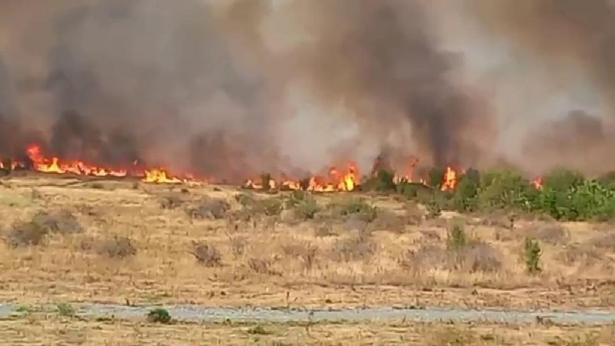incendiu urias in gorj oamenii fug din case cu copiii in brate sute de hectare au ars la targu jiu voluntarii intervin cu tractoare