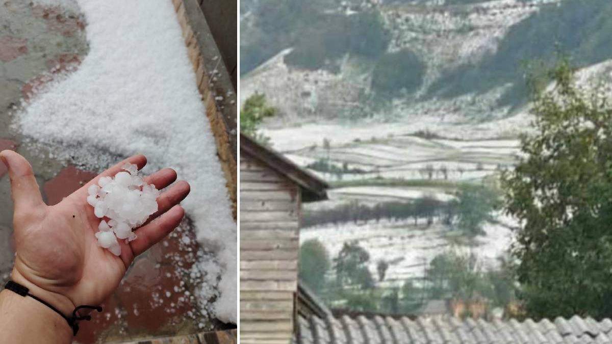 furtunile fac ravagii peste 2 200 de oameni fara curent in harghita grindina de mari dimensiuni in maramures si hunedoara