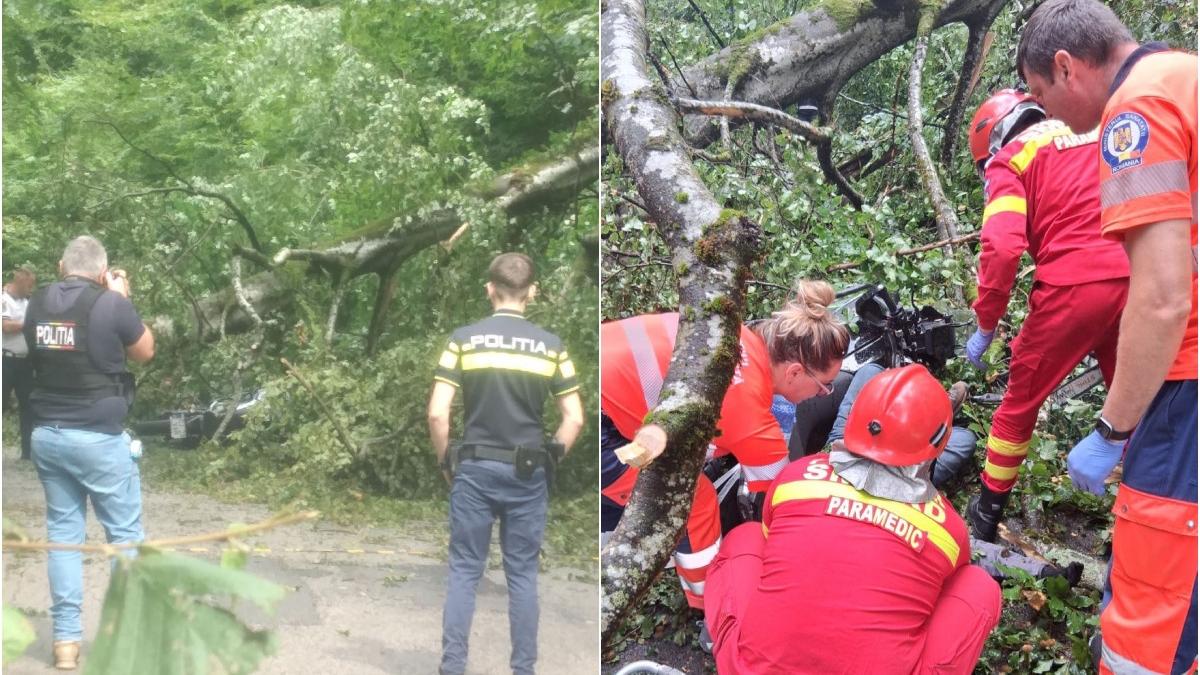 un motociclist a fost spulberat de pe vehiculul sau de un copac prabusit brusc pe sosea in bihor