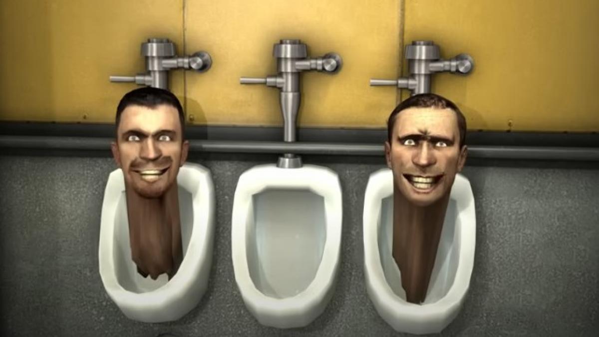 ce inseamna skibidi delulu si tradwife trei dintre cele mai noi cuvinte adaugate in dictionarul cambridge