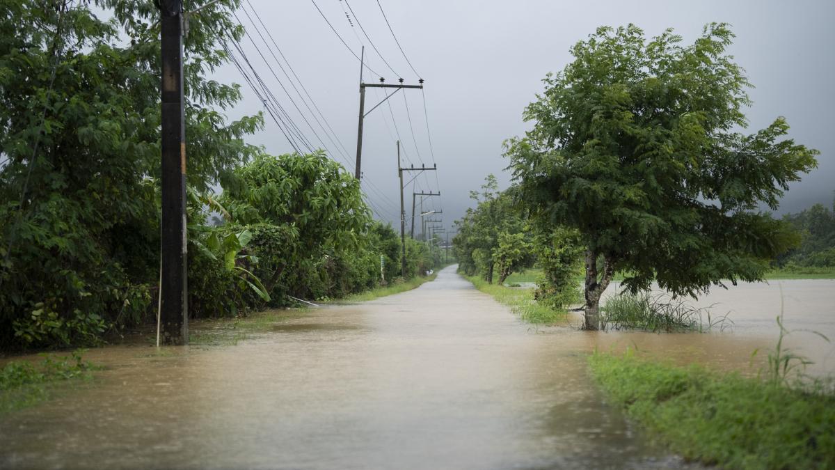sefa anm in judetele sub cod portocaliu vor fi averse torentiale si rafale de vant de 80 de kilometri pe ora cand revine canicula