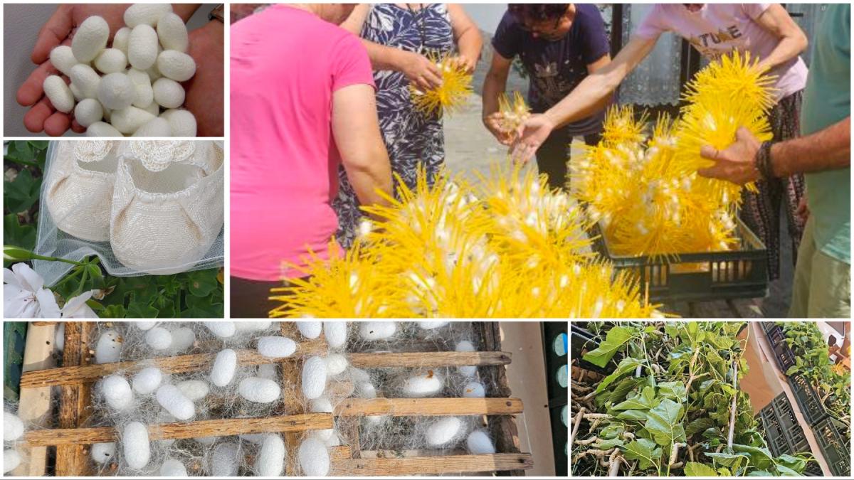 comuna din romania unde o familie creste viermi de matase produce borangic si tese haine traditionale cu el afacerea e unica in tara