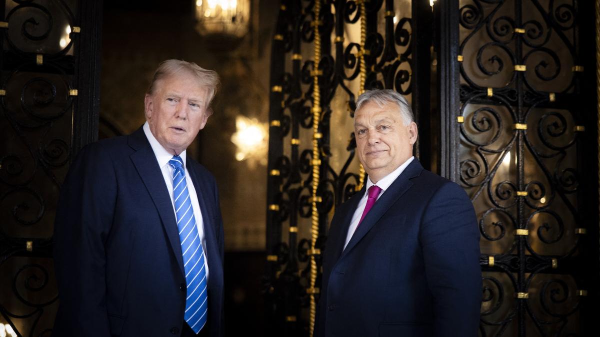 donald trump l a sunat pe viktor orban sa l intrebe de ce blocheaza aderarea ucrainei la ue