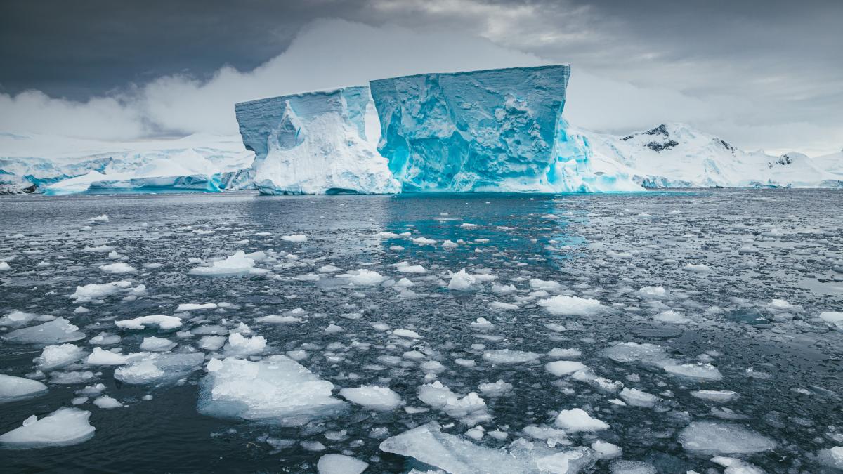 schimbarile dramatice din antarctica ameninta viitorul planetei spun cercetatorii