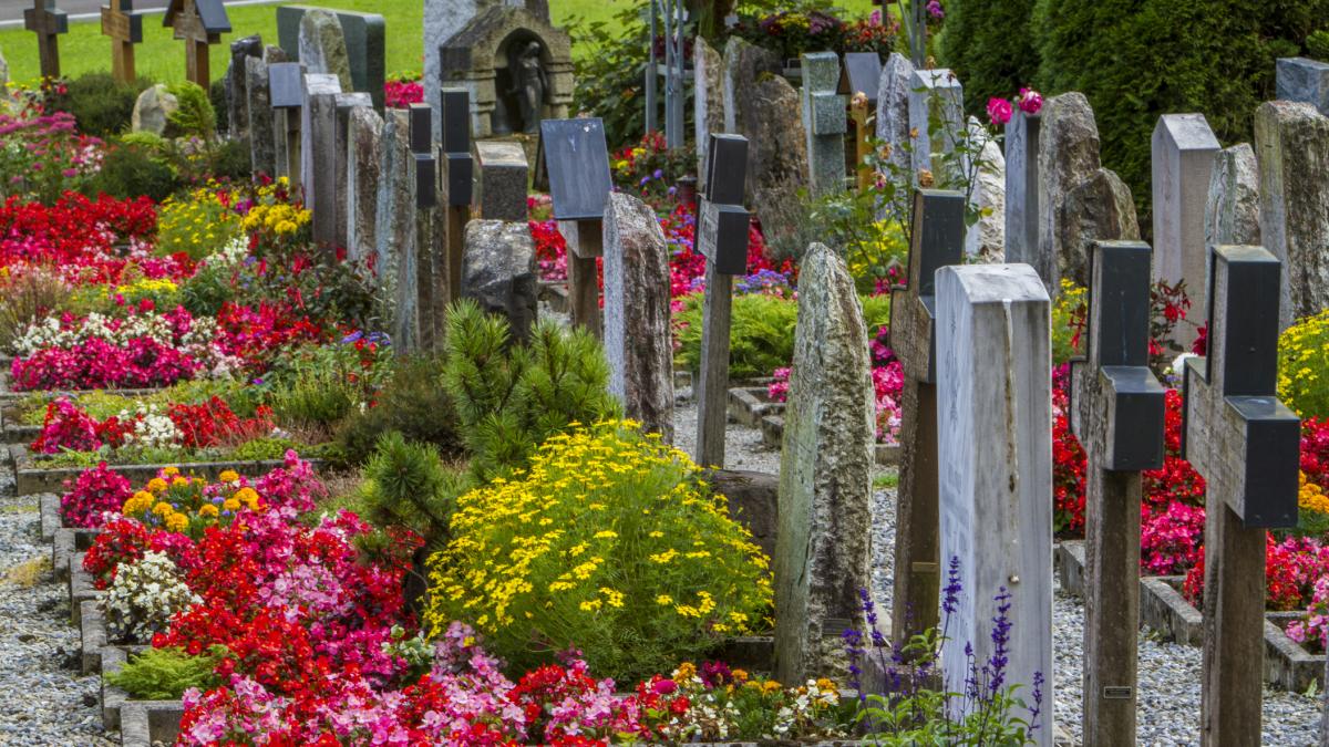 un restaurant denumit viata se deschide in crematoriul unui cimitir din capitala elvetiei