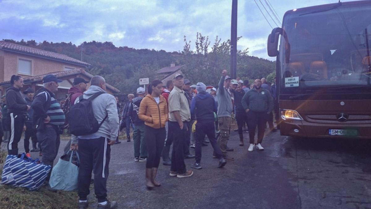 niste romani plecati la cules de struguri in franta s au ratacit pe drum si au intrat intr o mare incurcatura