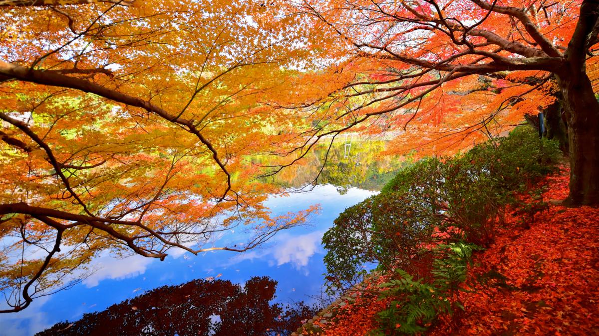 echinoctiul de toamna in 2025 ce inseamna fenomenul astronomic si cand se termina oficial vara anul acesta