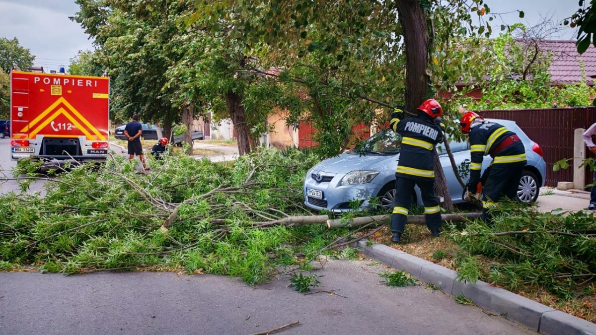 furtuna violenta in bucuresti mai multi copaci au fost rupti de vantul puternic si s au prabusit peste masini si sosele