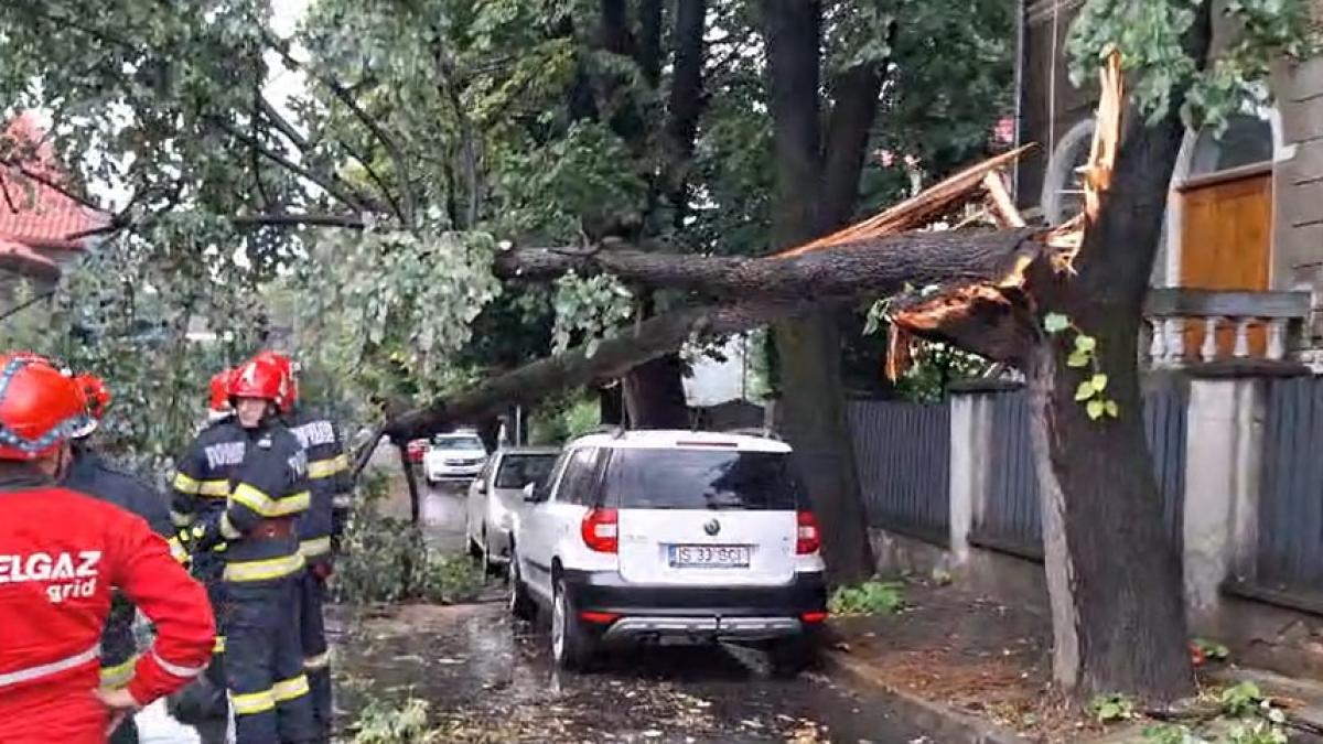 igsu 150 de apeluri la 112 in regiunea bucuresti ilfov in urma furtunii