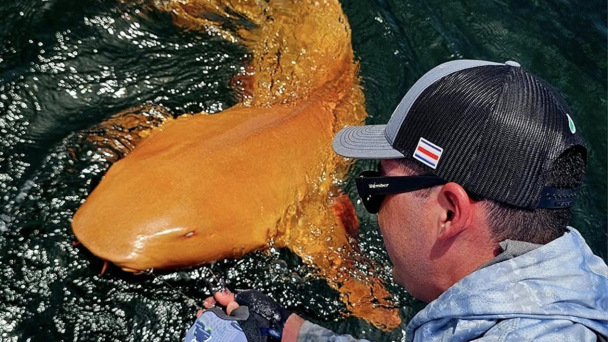 o creatura bizara i a uluit pe cativa pescari iesiti in larg ce s a prins de fapt in plasa