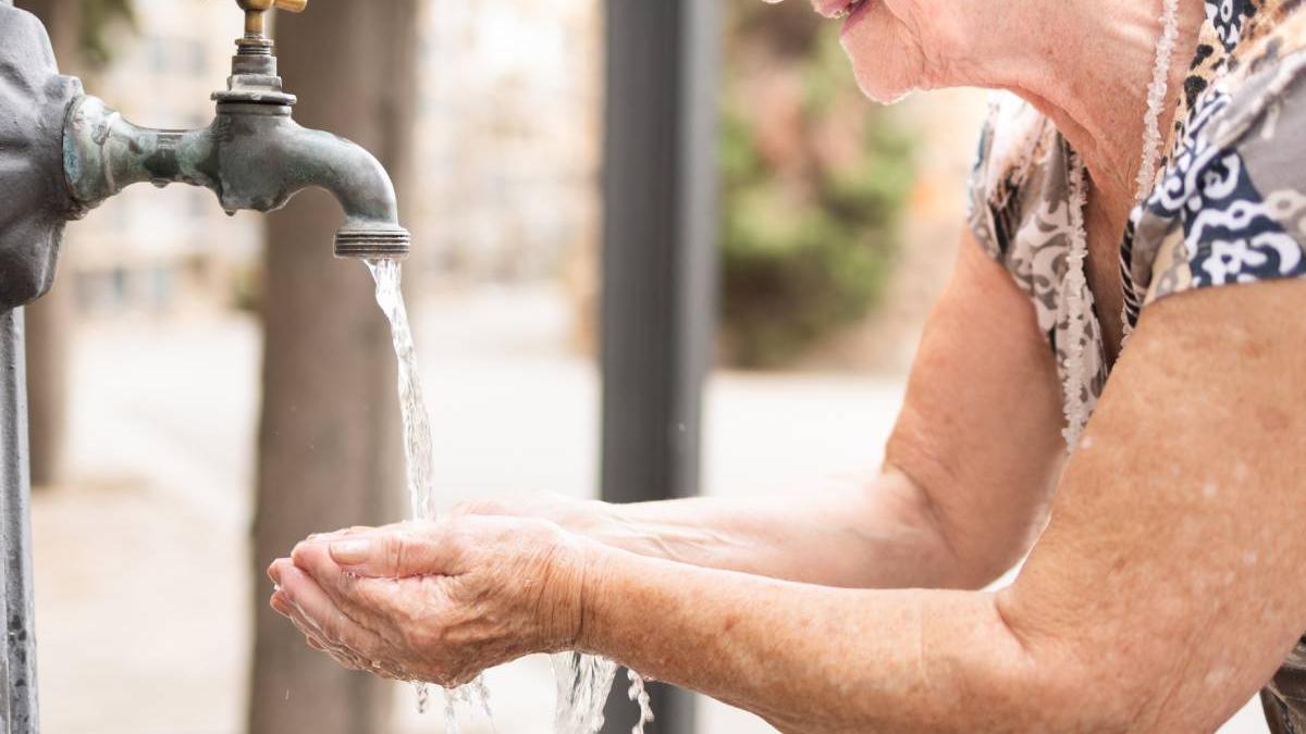 portugalia valurile de caldura au dus la peste 1 300 de morti in doar 20 de zile