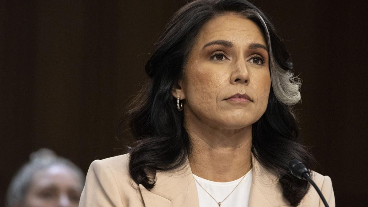 tulsi gabbard a blocat schimbul de informatii despre negocierile rusia ucraina cu aliatii five eyes
