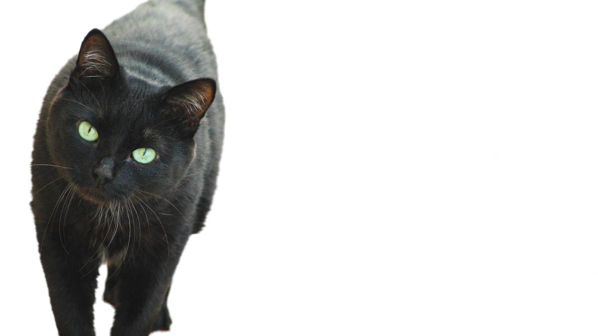 ce spune senzatia de deja vu despre sanatatea creierului tau