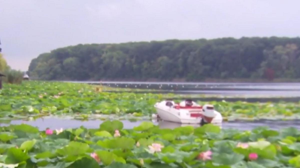 noi informatii in cazul dramei din snagov victimele inecate sunt un medic de 53 de ani si fiul lui in varsta de 13 ani