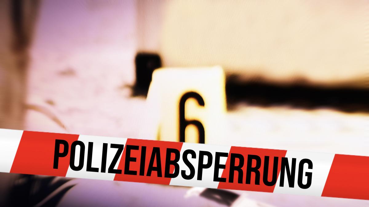 crime socante in germania comise de un roman si a injunghiat logodnica si a provocat un accident mortal in timp ce avea copiii cu el