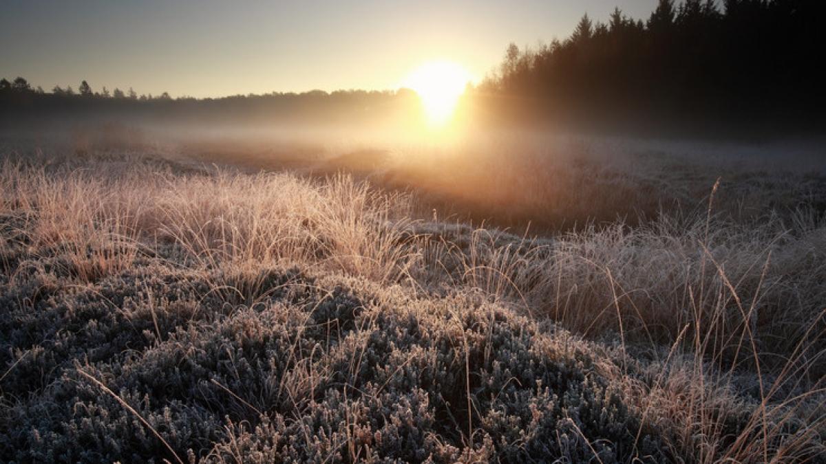 cea mai rece dimineata din aceasta vara bruma si minus 1 grad celsius in miercurea ciuc si la vf omu