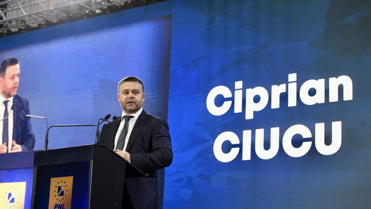 ciprian ciucu despre alegerile pentru capitala daca m ar sustine usr as castiga en fanfare ce spune despre candidatura lui drula