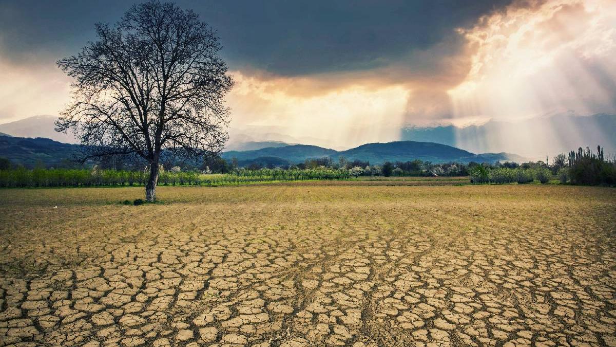nu putem face lucrurile ca tatii nostri fermierii din europa se lupta sa se adapteze la criza climatica cat de afectata e romania