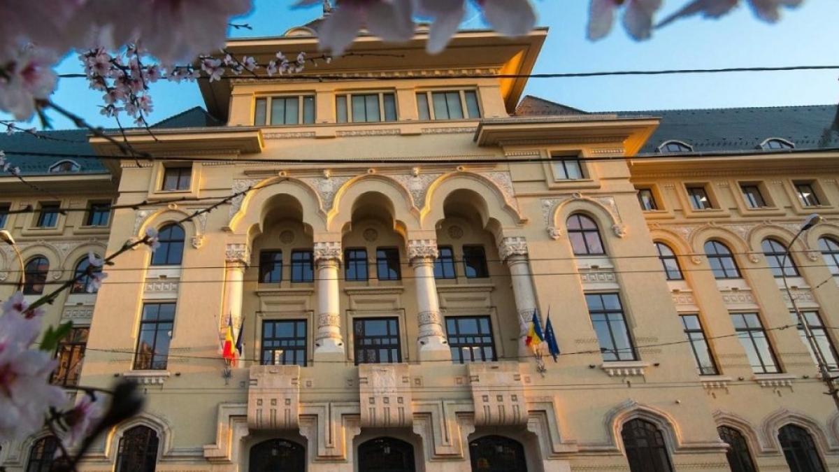 scandal in coalitie pe data alegerilor din bucuresti vrea drula mort copt sa tinem alegeri acum drula nu psd decide