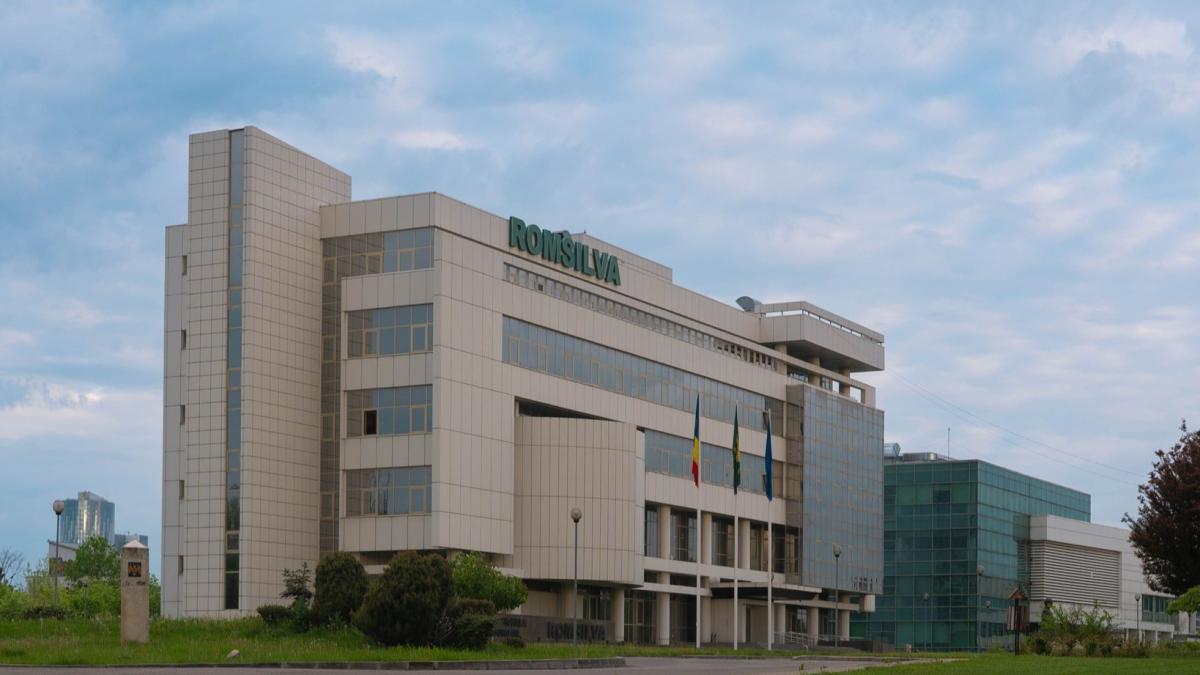 selectia pentru directorul interimar al romsilva 17 candidati dezbatere publica la ministerul mediului