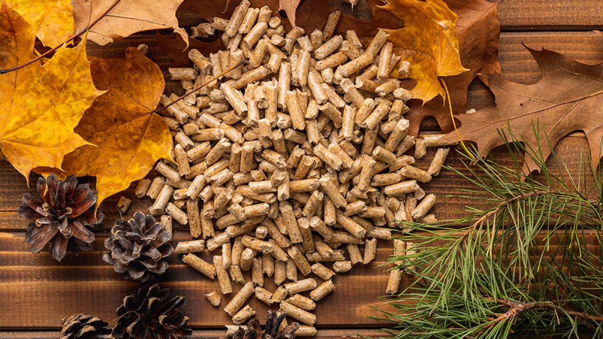 centralele pe peleti intre solutie energetica si strategie de dezvoltare sustenabila