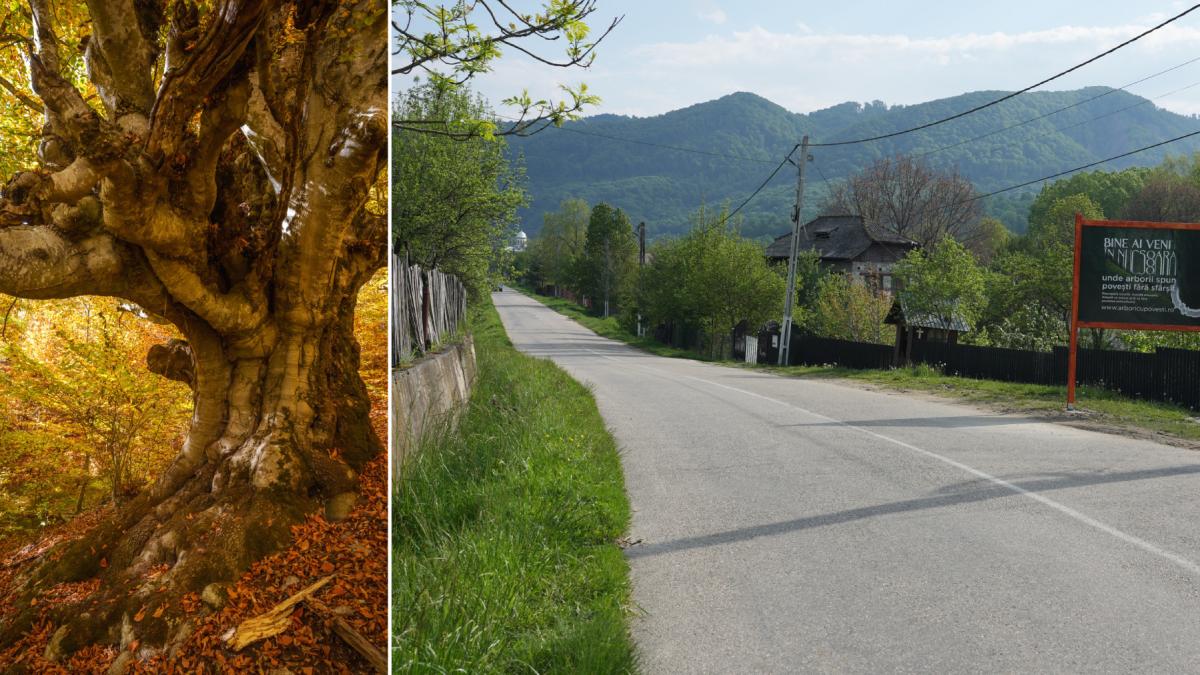 comuna din romania care are un traseu tematic nou prin muntii fagaras drumetii vor avea o experienta diferita pe poteca de 3 7 km