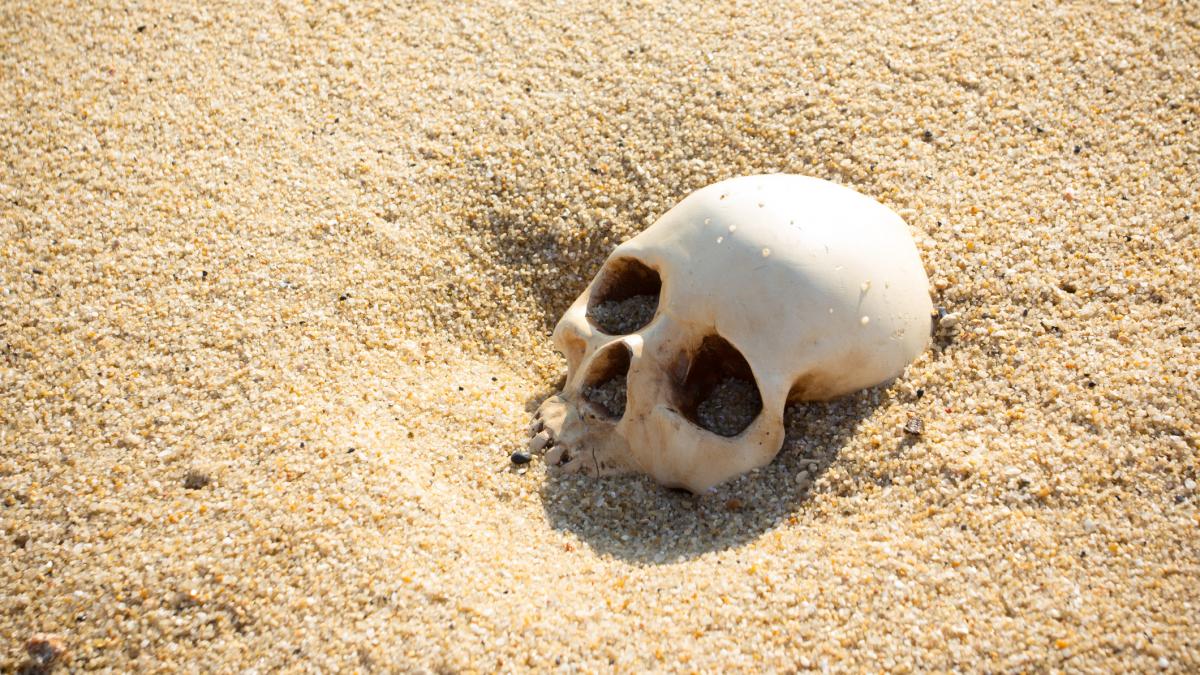 descoperire arheologica inedita o mandibula umana veche de 1 8 milioane de ani a fost gasita in georgia