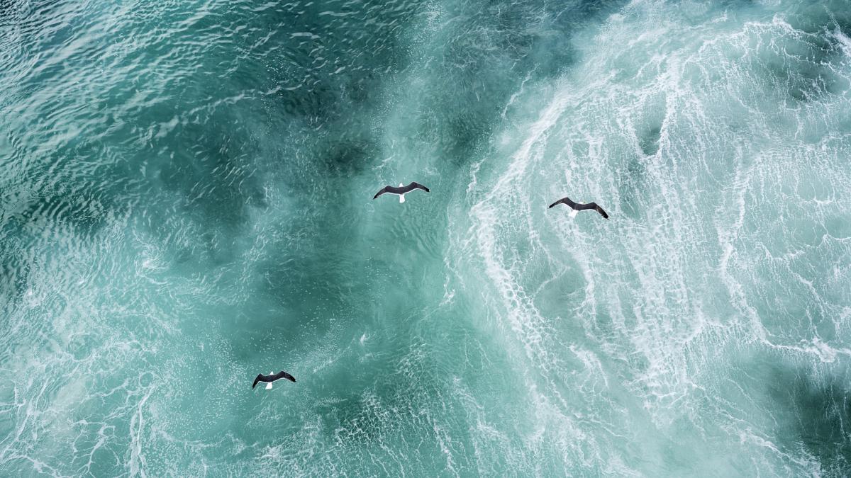 daca in urmatorii maxim 20 de ani nu se iau masuri pentru a reduce incalzirea globala colapsul amoc nu mai poate fi oprit