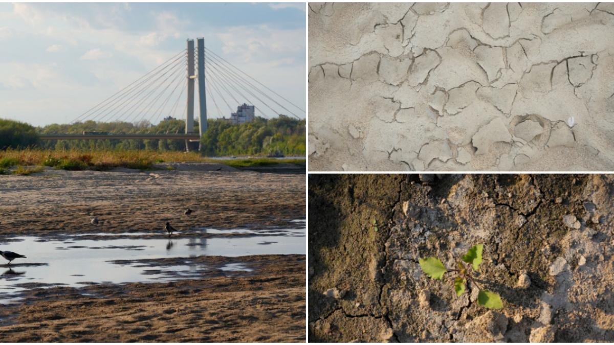 imagini ca de film cu cel mai lung fluviu din polonia care a disparut aproape de tot acum pe fundul albiei a inceput sa iasa iarba