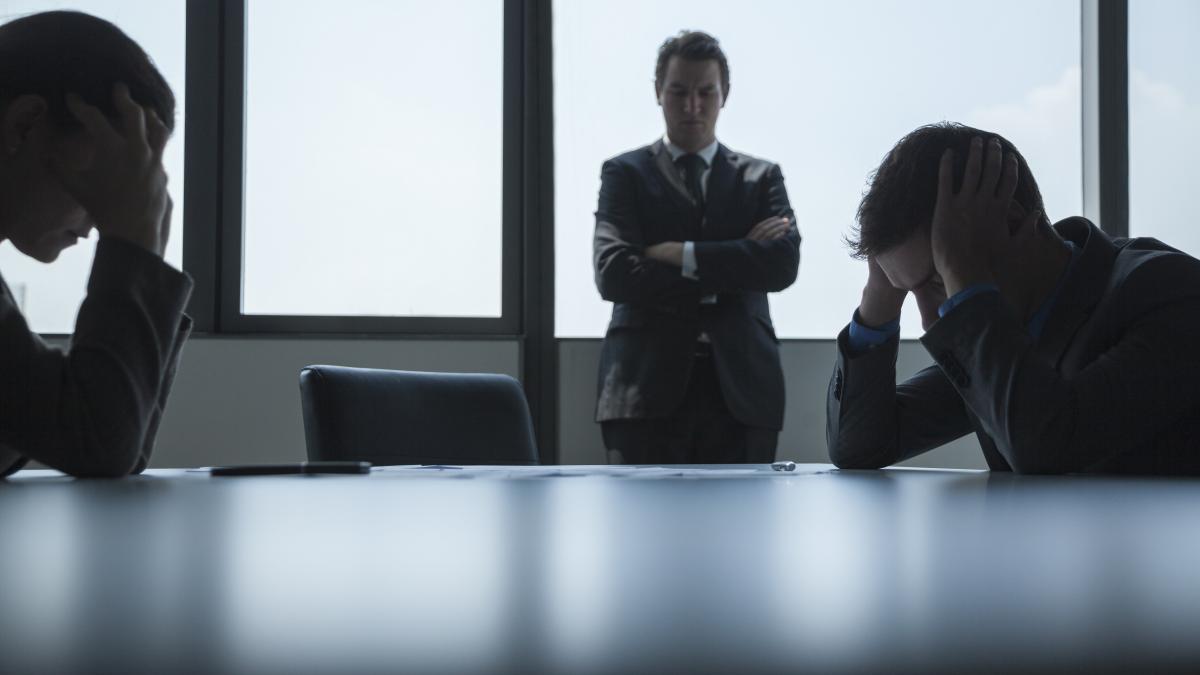 a fost adoptata reforma companiilor de stat scade numarul membrilor in consiliile de administratie se reduc indemnizatiile