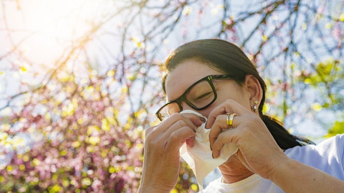 contaminarea cu polen de ambrozie a atins niveluri periculoase in romania specialisti e bine sa nu iesiti din casa in acest interval