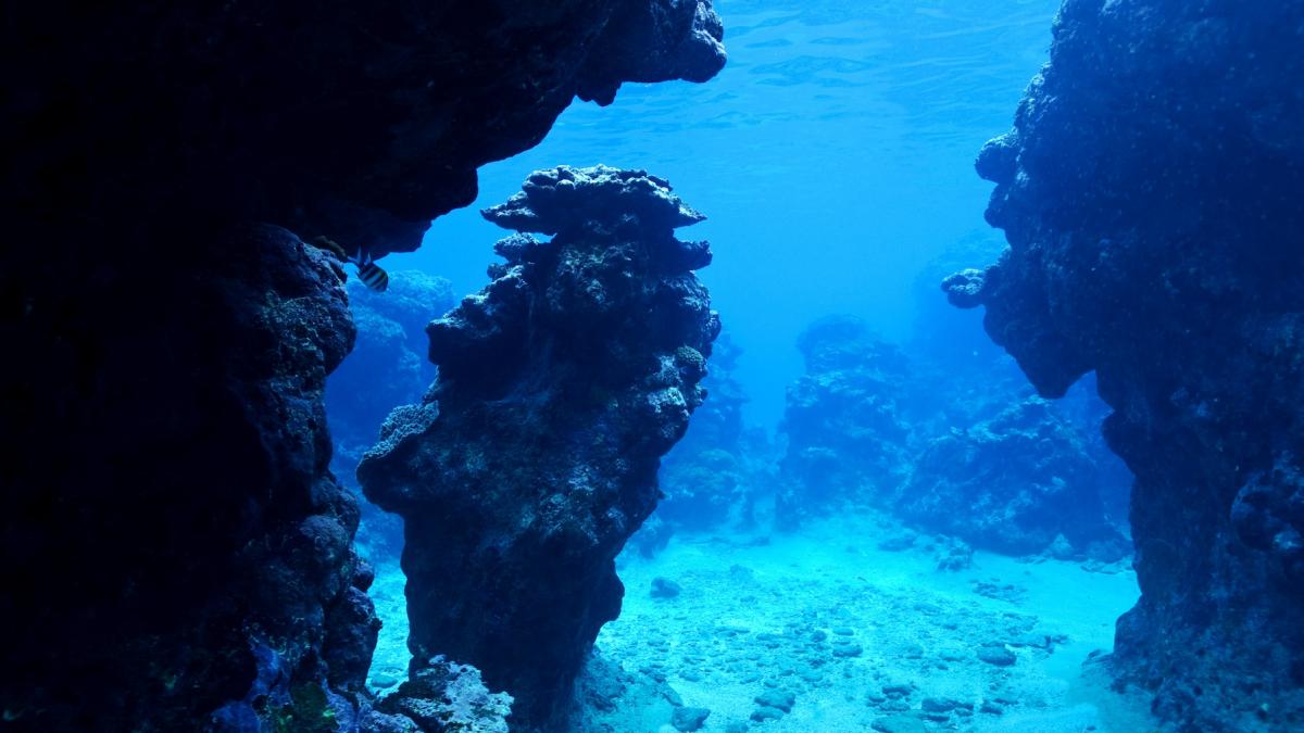 o retea ascunsa de peste 300 de canioane uriase descoperita sub gheata antarcticii