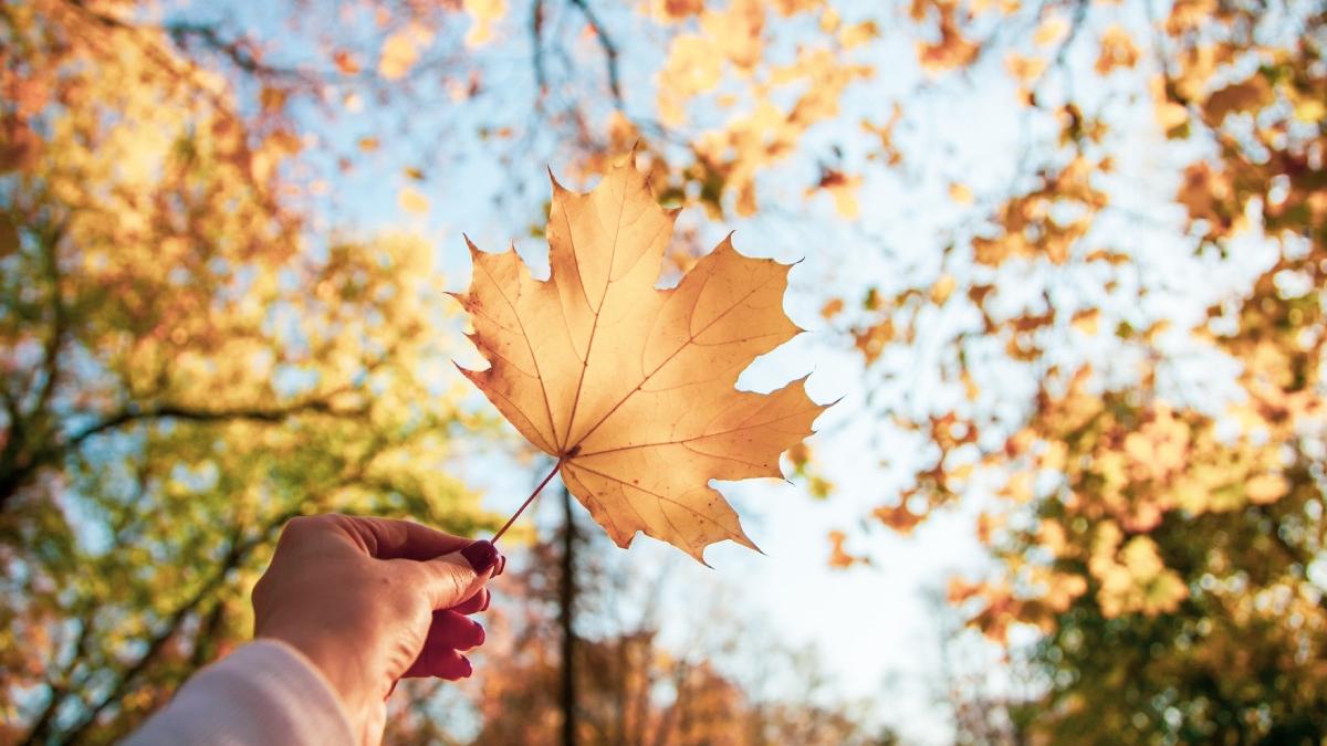 prognoza meteo actualizata cum va fi vremea pana la sfarsitul lunii septembrie