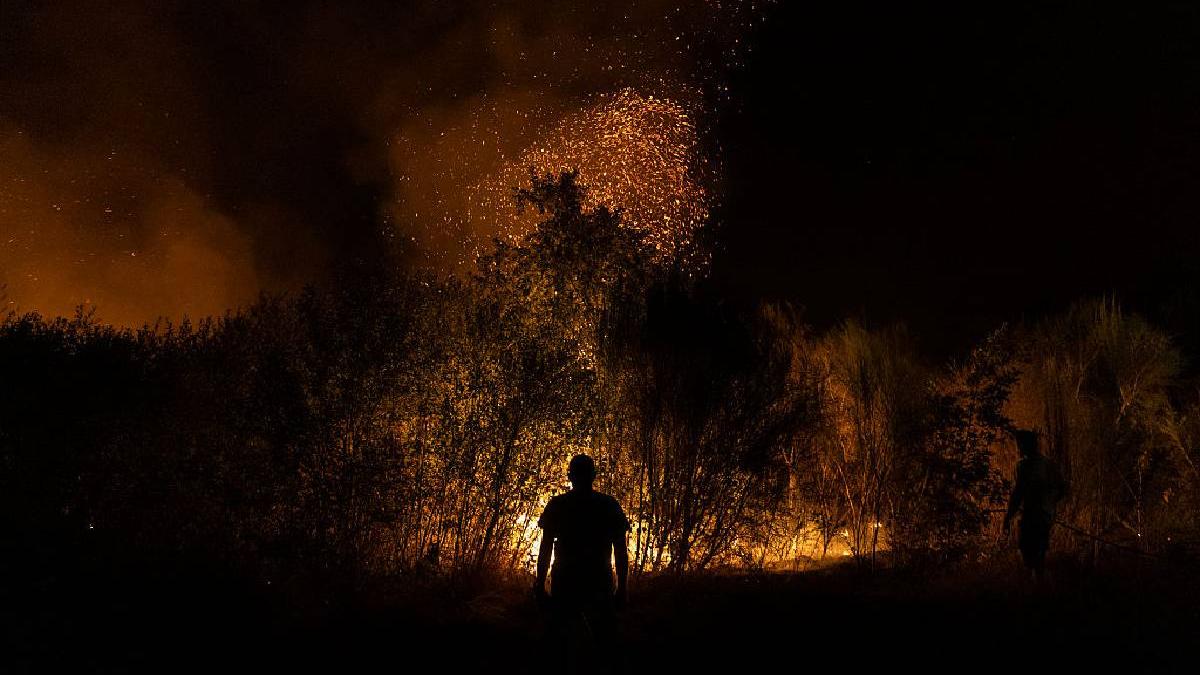 un baiat de 14 ani a recunoscut ca a provocat intentionat mai multe incendii de vegetatie era suparat ca nu avea note bune la scoala