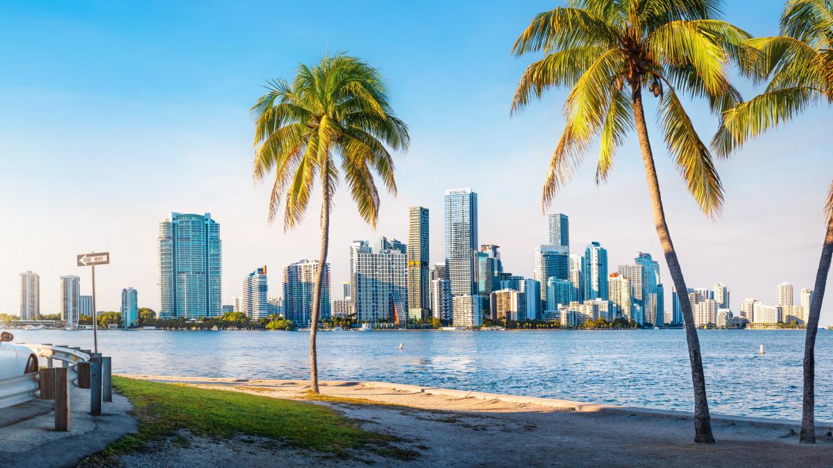 austeritate la guvern vacante de lux la primarii angajati trimisi 7 nopti la miami sa invete despre saracia din romania