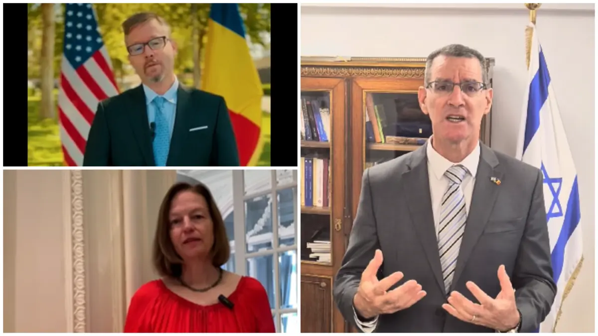 mesajele ambasadelor de ziua limbii romane expresiile preferate ale diplomatilor a vinde gogosi sau cand o zbura porcul