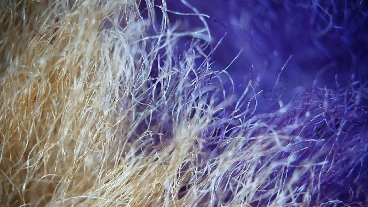 oamenii de stiinta au inghesuit un intreg computer intr o singura fibra de imbracaminte poate fi bagat chiar si la masina de spalat