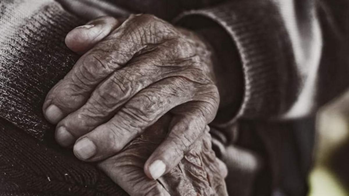 surse veteranii de razboi si fostii detinuti politici vor plati in continuare cass bolojan a respins propunerea psd