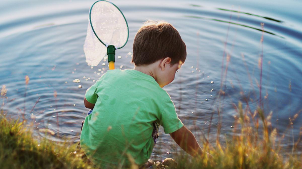 un baietel de 1 an si 8 luni a fost gasit mort langa o gradinita din timisoara fusese scos afara de educatori impreuna cu colegii lui