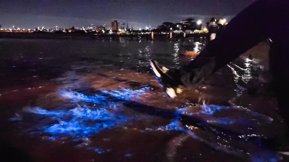 fenomen natural spectaculos pe o plaja din australia cei care erau acolo au povestit ca a fost magic si cosmic