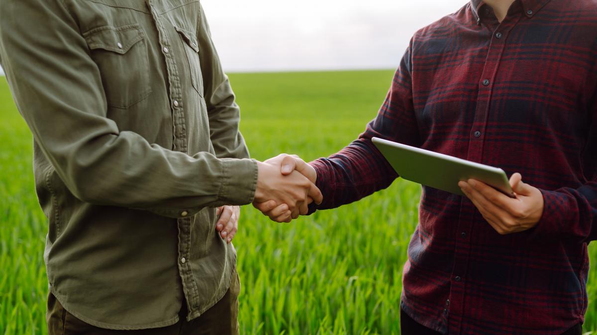 vanzarea directa catre consumator avantaje si provocari pentru agricultori