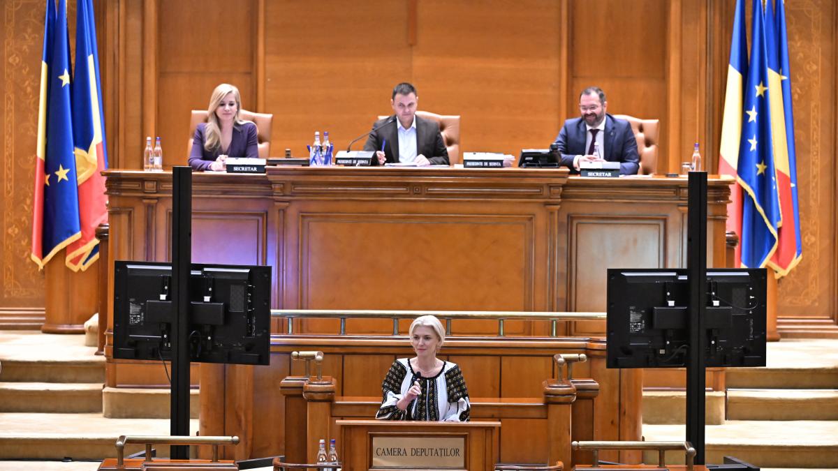 o comisie speciala romania fara violenta va fi constituita in parlament in cele 35 de saptamani din 2025 au fost 39 de femicide