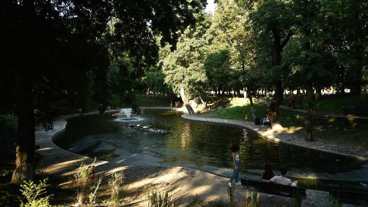 primaria sectorului 1 renunta la organizarea lumina park in parcul kiseleff tuta nu voi face niciodata bine cu forta