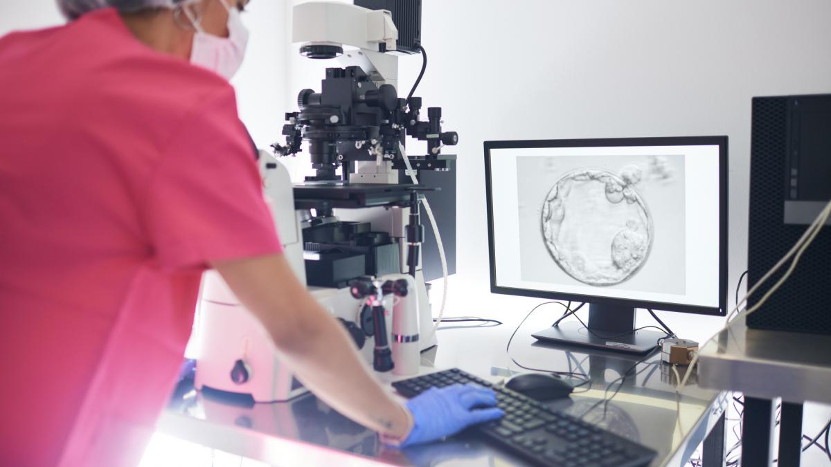 dgaspc sector 2 ofera vouchere de 20 000 de lei pentru fertilizarea in vitro conditii de eligibilitate