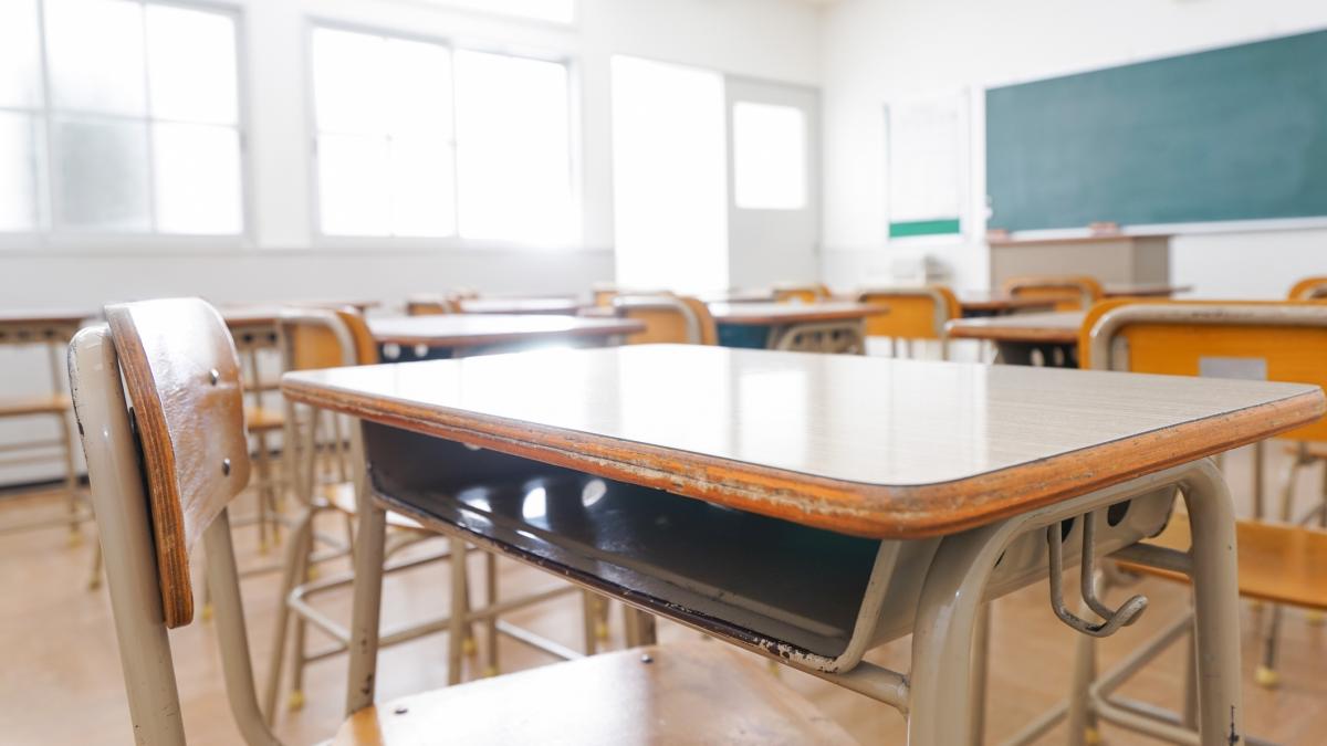 elevii din valcea sustin protestele profesorilor si de luni sunt in greva japoneza